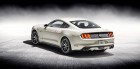 Ford Mustang GT Fastback 50 Year Limited Edition - Pony Sondermodell